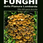 Atlante fotografico dei funghi della pianura lombarda. Oltre 400 specie descritte